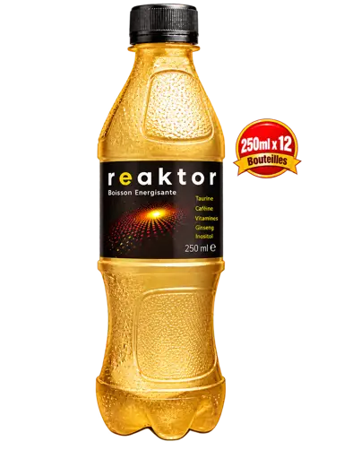 Pack de 12 bouteilles de Reactor 250 ml 