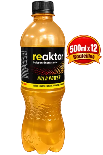 Pack de 12 bouteilles de Reactor 500 ml