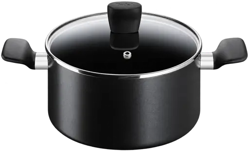 Marmite TEFAL Super Cook avec couvercle - 22 cm / 30 cm - 03 mois de garantie