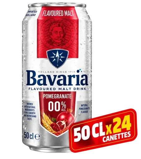 Pack 24 Canettes de Bavaria - Smalt - Grenade – 50 CL