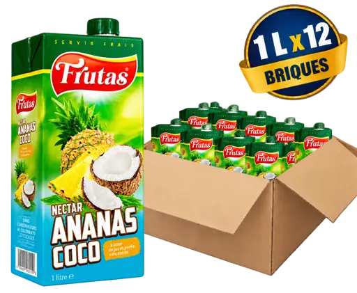 Jus de fruit Frutas nectar d’ananas et de noix de coco 1 L x 12 briques