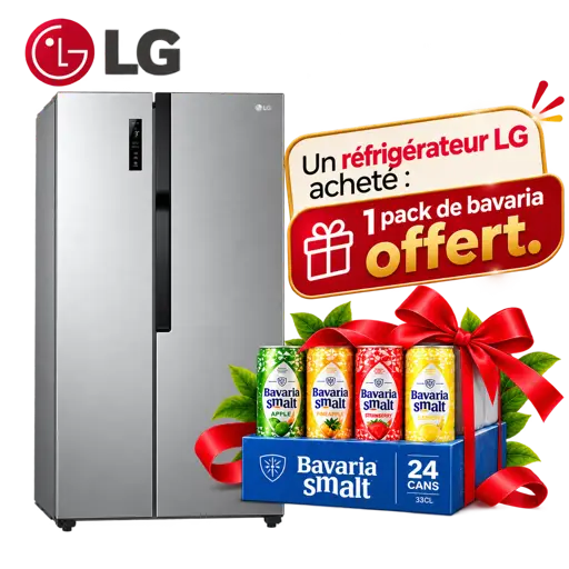 Réfrigérateur américain LG GCFB507PQAM + 1 pack de bavaria offert