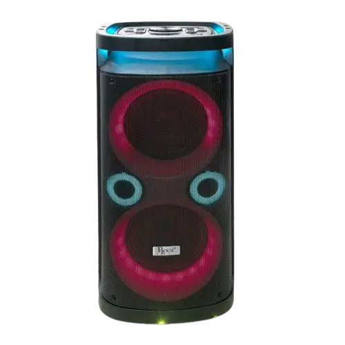 Enceinte Rechargeable - ROCH - RPS-08M2 - Puissance 40W - 06 Mois de Garantie